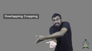 Overlapping Cropping