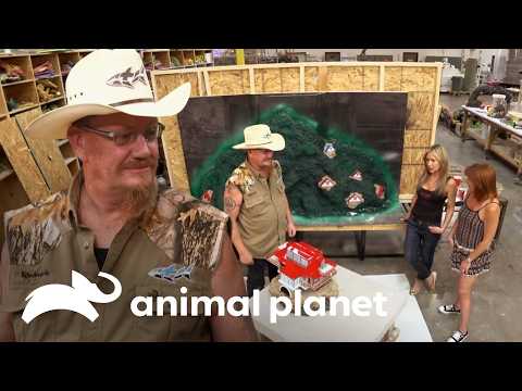 Championship aquarium in the final stretch | In over our heads | Animal Planet Brazil