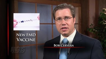 The Angus Report: July 30, 2012: Top Industry News