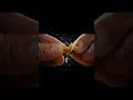 Check out this awesome AI video! #Pixverse #AI #YouTube Shorts
