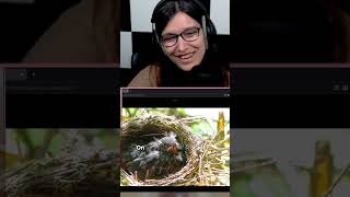 Video thumb