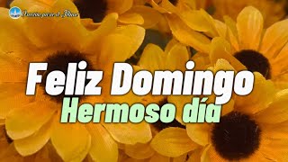 FELIZ DOMINGO Lindo mensaje de buenos días Que tengas un hermoso dia