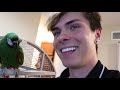 Middle of video