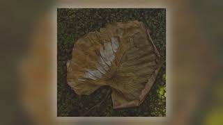 Adela Mede - Sing with Us