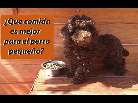 Video: ¿Cuáles son los grados OP de alimentos para perros?