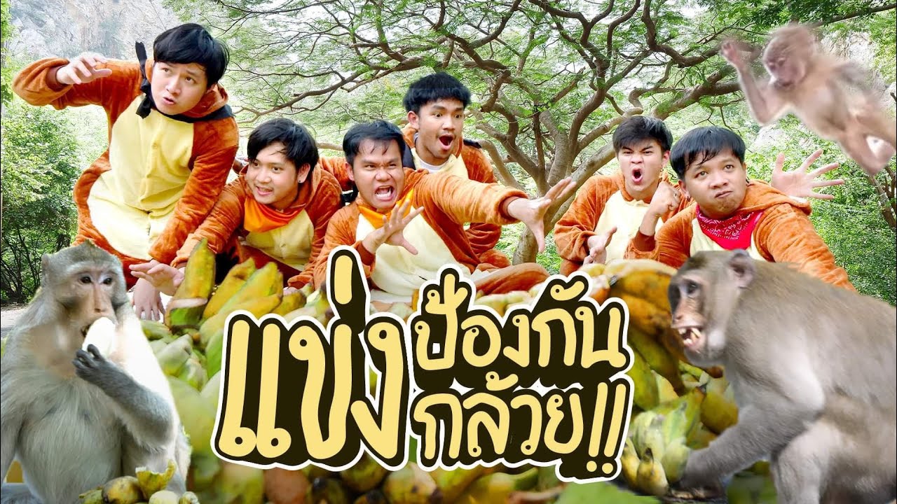 แข่งป้องกันกล้วย 2 ตัน จากฝูงลิงผู้หิวโซ!!