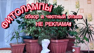 :  -  .