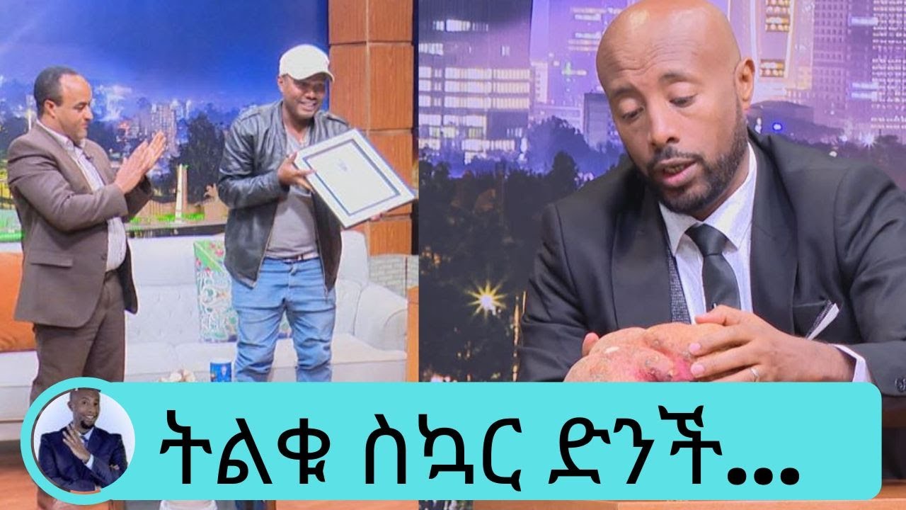 ስድስት ኪሎ  የሚመዝነው  ትልቁ ስኳር ድንች….. በልተነዋል ይጣፍጣል....ድንቃ ድንቅ ኢትዮጵያ| Seifu on EBS