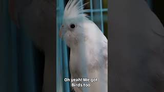 We are definitely not average! #petshop #pets