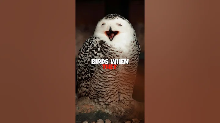 WHOA🥹 #fyp #funny #comedy #sarcasm #silly #viral #braingenai #reels #shorts #uselessfacts #random