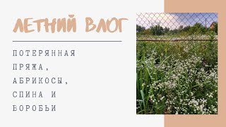 Влог : потерянная пряжа, абрикосы, спина и воробьи / Vlog / ЛЕТНИЙ ВЛОГ