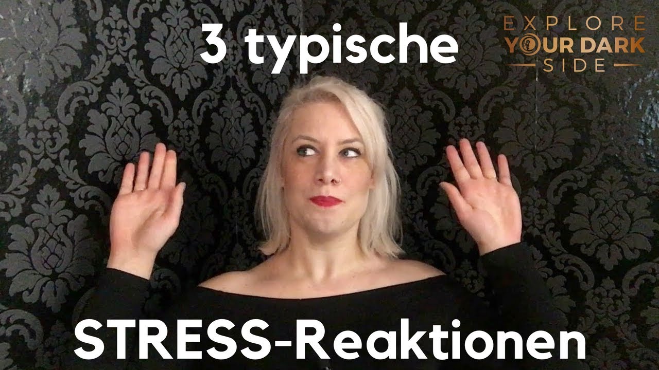 FIGHT FLIGHT FREEZE  - 3 typische Reaktionen bei Stress (GERMAN)
