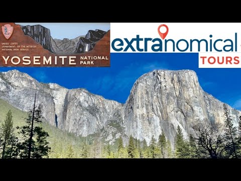 Video: Come arrivare da San Francisco allo Yosemite National Park
