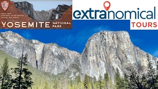 How To Explore Yosemite National Park From San Francisco Without A Car In 2022