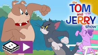 Cartoon Tom And Jerry Green Screen Green Screen Cartoon Video Dog Vs