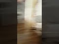 gogogogogogogogogogogogog9gogogogogo
