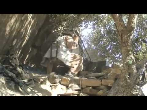 Video: ABD Askeri Köpek 'Afgan Taliban'ın Gözaltında