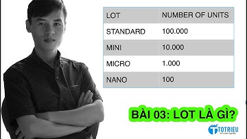 Bài 03: Lot là gì? Lot Size và giá trị  thực tế | Học Forex Miễn Phí