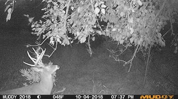 ScrapeFix Customer Success