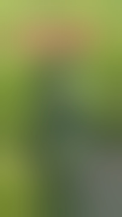 Penemuan Mayat Wanita Tanpa Identitas di Sawah Wonoketingal Demak