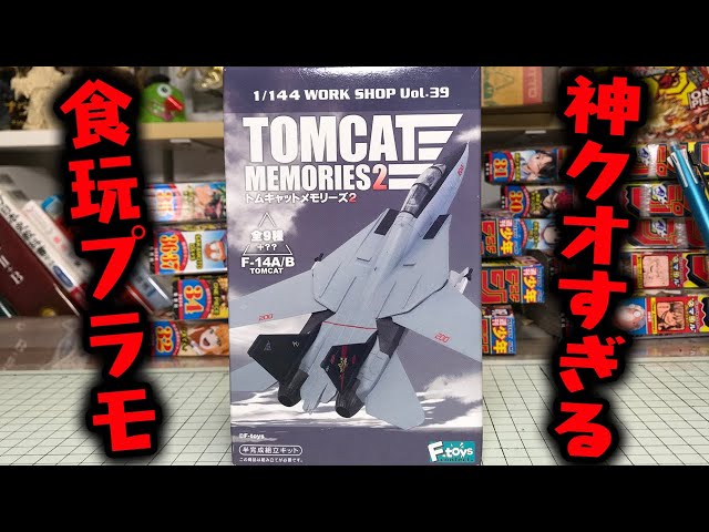 Amazing quality candy toy plastic model! Tomcat Memories 2
