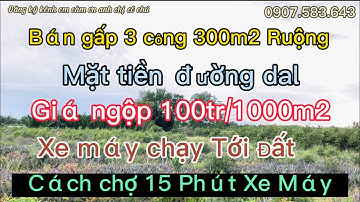 8) kẹt tiền bán gấp 3 công đất ruộng mặt tiền đường dal giá rẽ 100tr/1000m2,Gò Quao,Kiên Giang