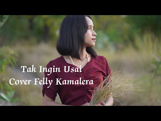 Tak Ingin Usai-Keisya Levronka||Cover Felly Kamalera class=