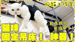 【孤貓工作室】貓咪固定吊床神器測試能否成功剪指甲