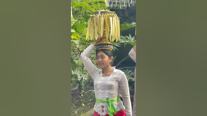 De processie van de Tempel Ceremonie toevallig gezien.