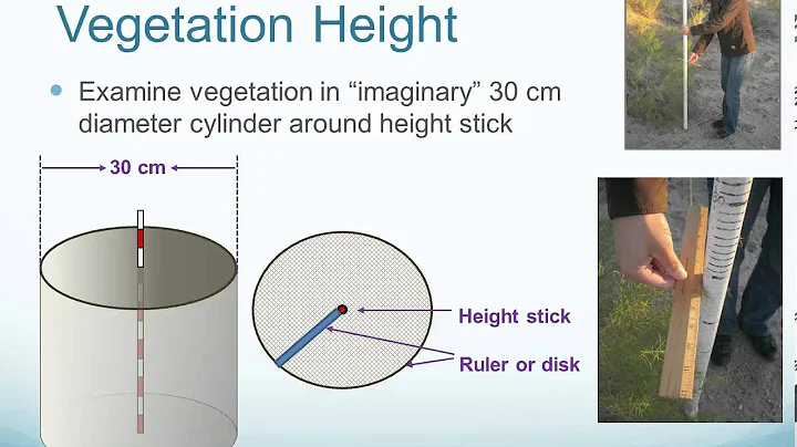 Measuring Vegetation Structure
