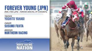 How To Bet The Kentucky Derby Forever Young