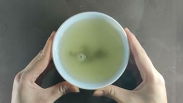 Cách hạ sốt nhanh nhất cho cả người lớn và trẻ em bằng 1 nắm rau diếp cá [Sức khỏe]