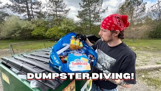 Celebrity Dumpster Diving! We Saved Super Useful Items From The Landfill! Profile