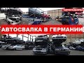 Большая Автосвалка в Германии - Тотал аварийные автомобили утилизация - Авто Шрот #автохлам