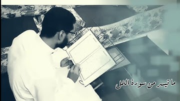 القارئ..رضا يونس...ما تيسر من سورة النمل..
