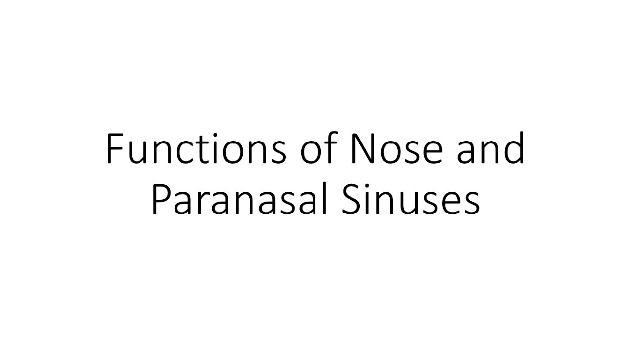 Functions of Nose and Paranasal Sinuses ENT YouTube