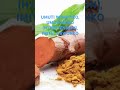 UMUTU W IMPYIKO IMITSI UMUVUDUKO HYPERTENSION UBWONKO Indimu Reins Diabetes Brain Cerveau UMUTU W IMPYIKO IMITSI UMUVUDUKO HYPERTENSION UBWONKO Indimu Reins Diabetes Brain Cerveau