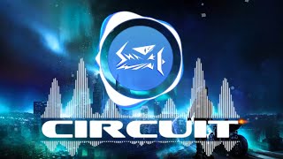 electronic Snakywine  Circuit