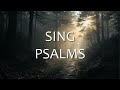 Psalm 64: Preserve My Life from Fear | Ambient Scripture Music
