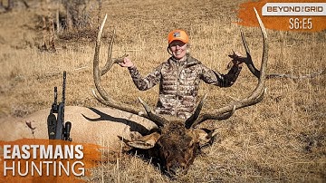 Two Giants, Two Days! Elk Hunting with Grizzlies 4K