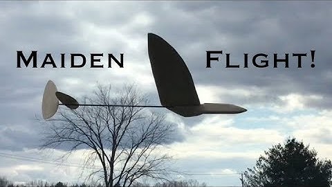 New DLG! - Very Successful Maiden Flight