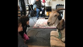 THE GARY THE GOAT THEME SONG IS NOW OUT ON ITUNES!