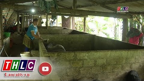 Lào Cai giảm nghèo bền vững: Phát huy vai trò của phụ nữ trong công tác giảm nghèo | THLC