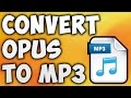 How to Convert OPUS to MP3 Online - Best OPUS to MP3 Converter [BEGINNER'S TUTORIAL]