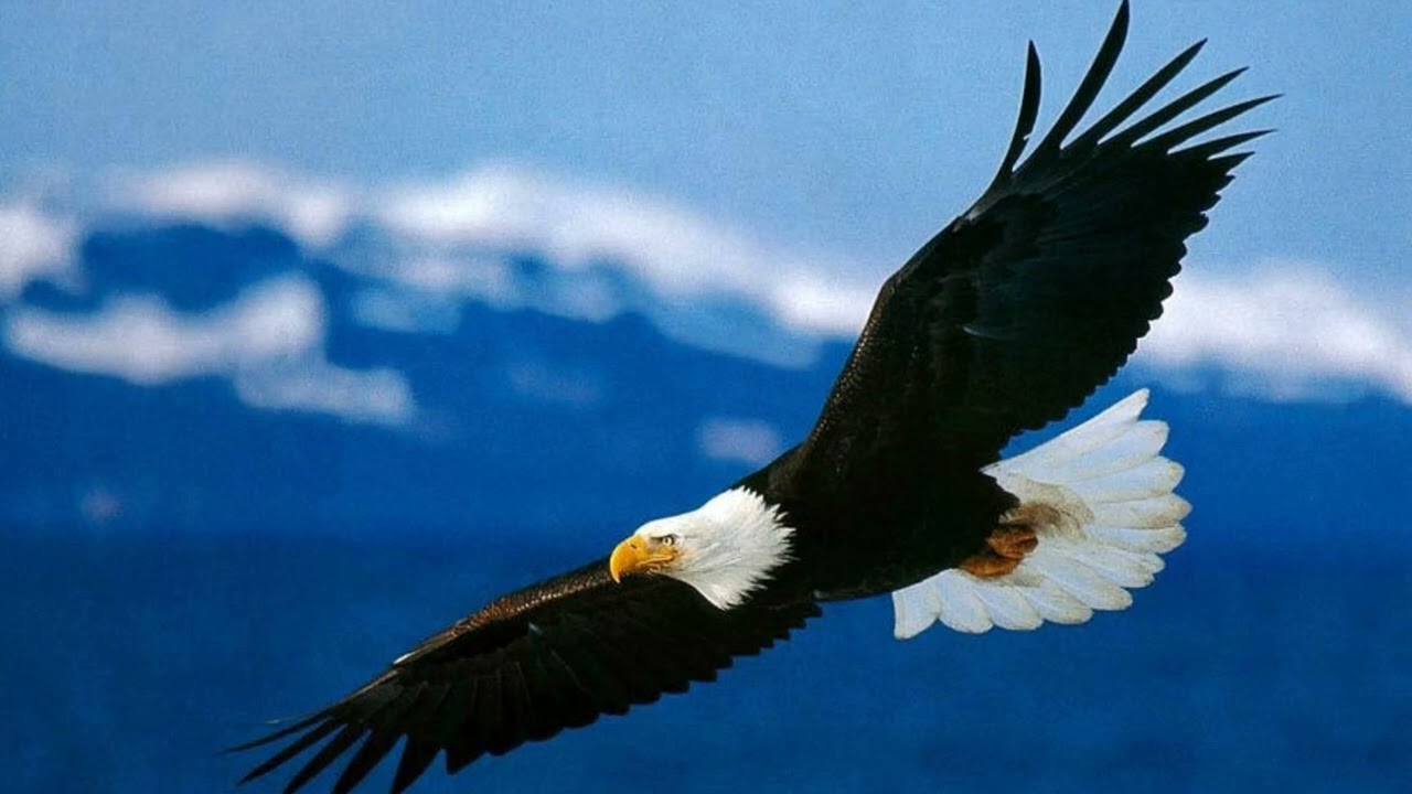 Honlao loknyü li nahjaa