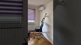 Sabka I Nenamještaj