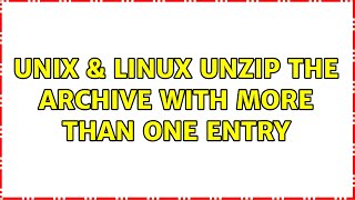Unix & Linux: Unzip the archive with more than one entry