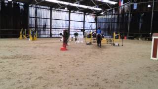 80Cm Winterjumping 270216
