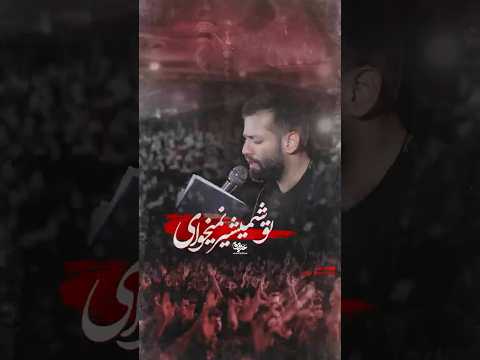 تو شمشیر نمی خوای امیر برومند  کربلای معلی محرم الحرام