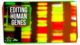 Editing Genes Inside the Human Body Editing Genes Inside the Human Body